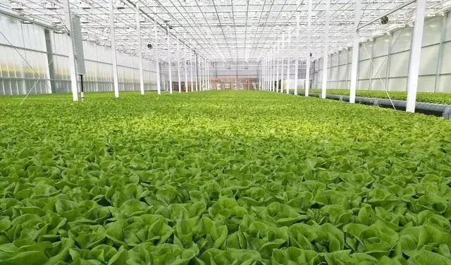 微信图片_20230808100743_3.jpg 微信图片_20230808100743_3.jpg