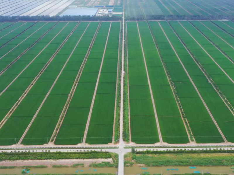 b93c49922b204e4cd39ba3f2b387afac.png b93c49922b204e4cd39ba3f2b387afac.png