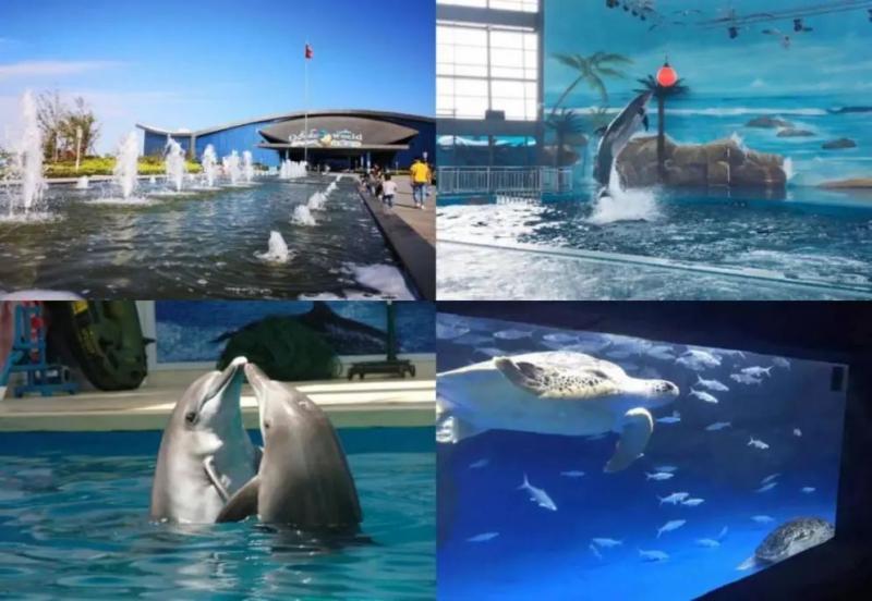 微信图片_20230925100843.jpg 微信图片_20230925100843.jpg