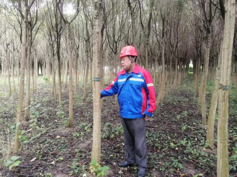 微信截图_20231008093713.png 微信截图_20231008093713.png