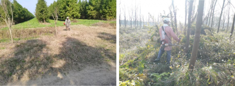 微信图片_20231204145051.png 微信图片_20231204145051.png