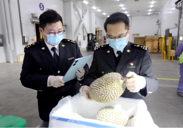 德信体育