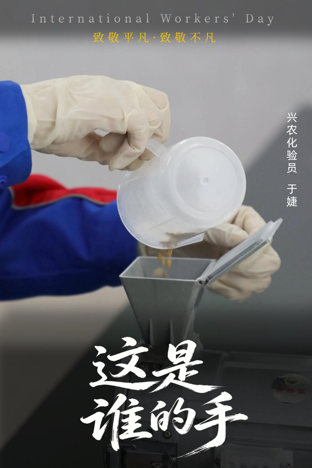 德信体育