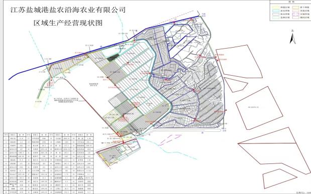 德信体育