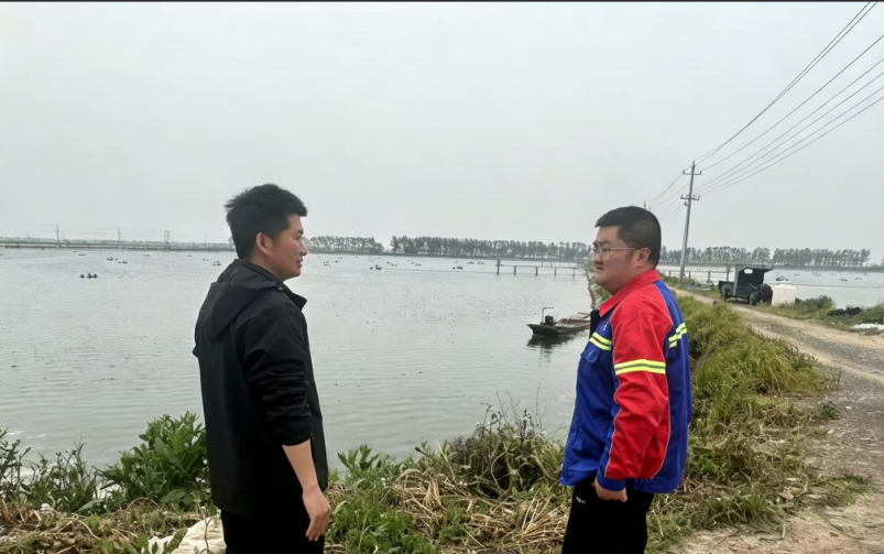 德信体育