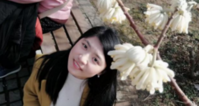 德信体育