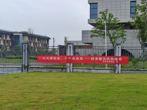 德信体育