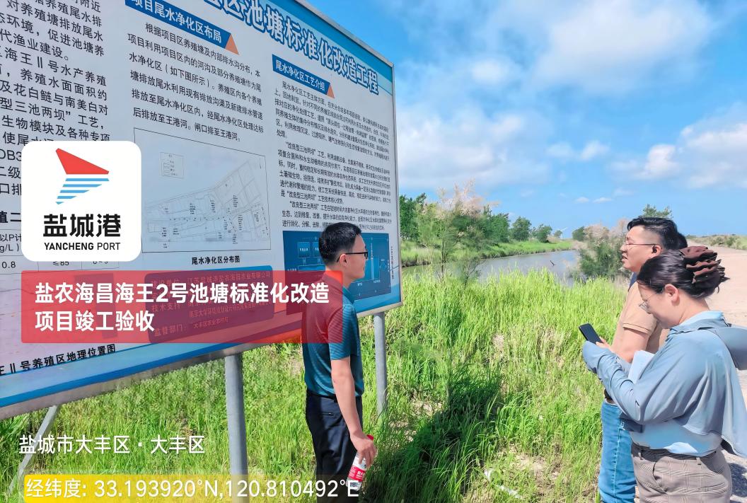德信体育