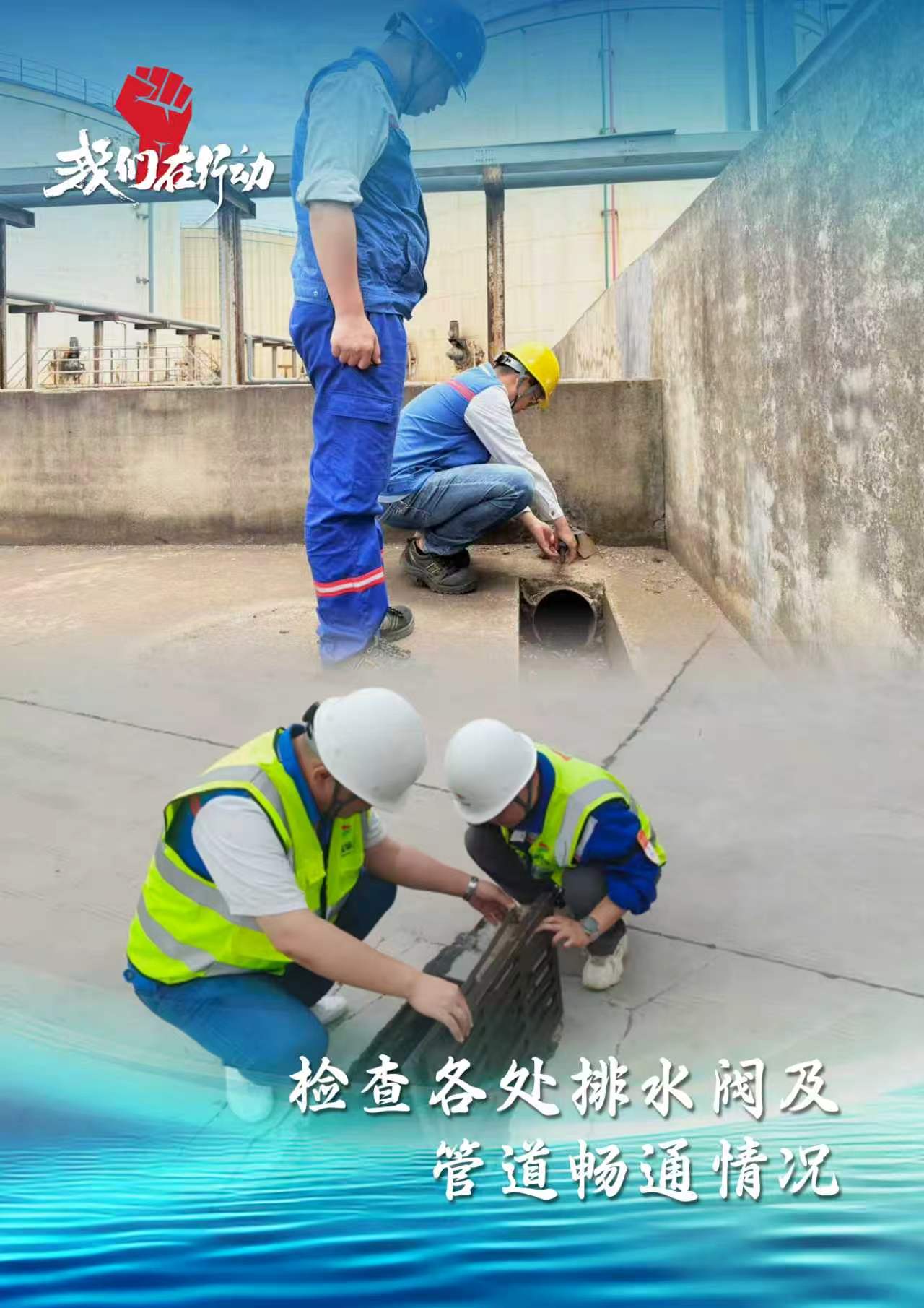德信体育