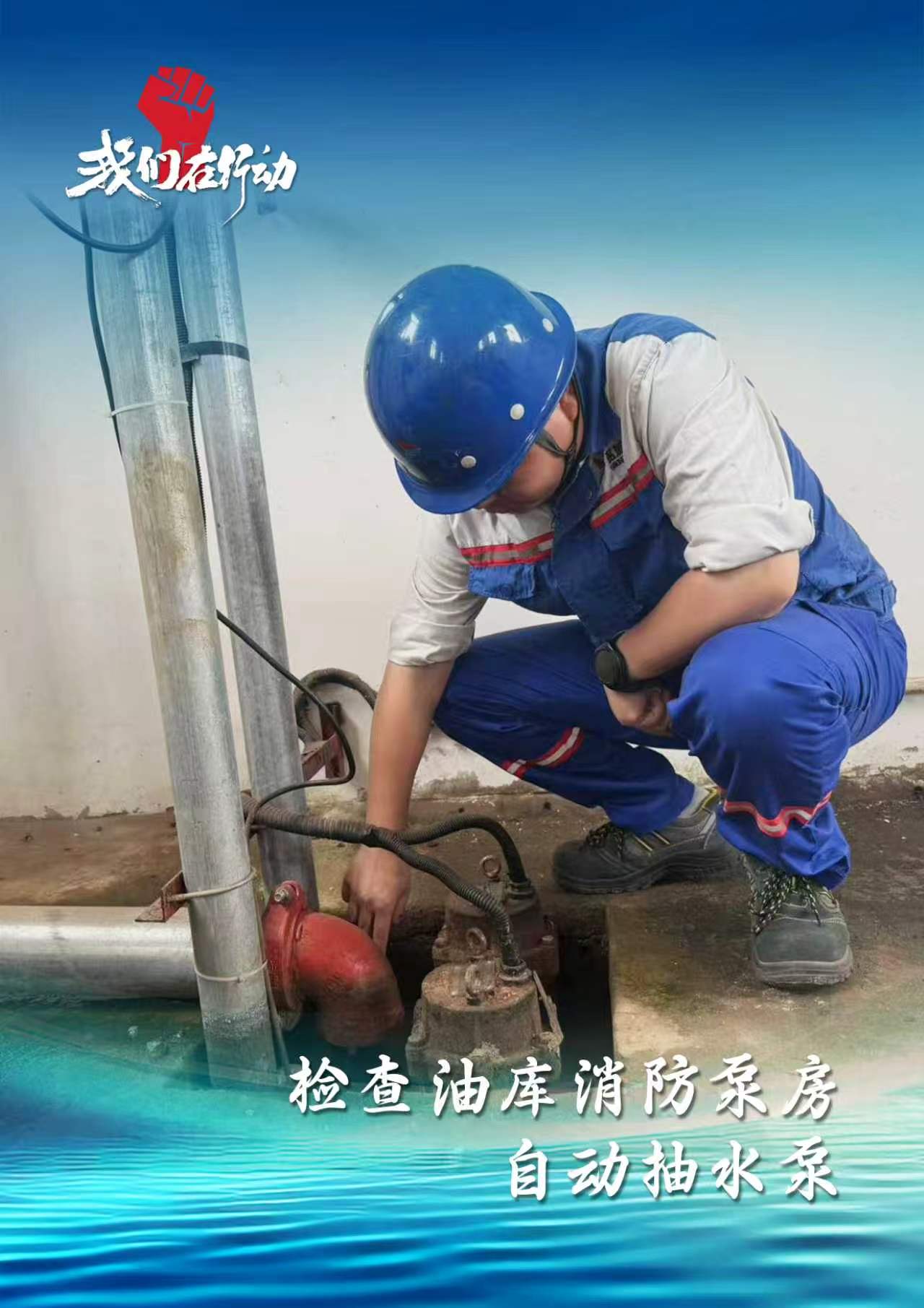 德信体育