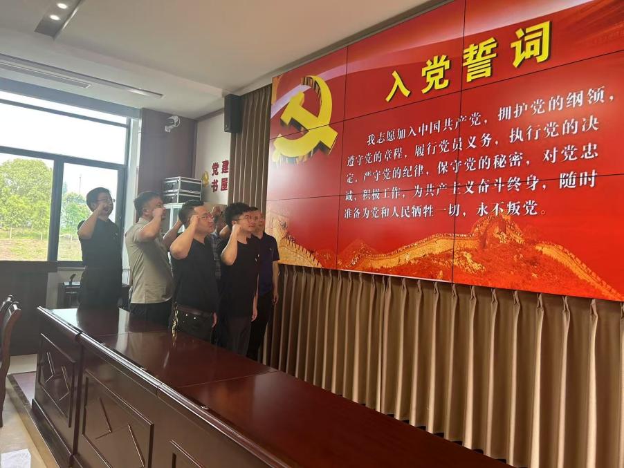德信体育