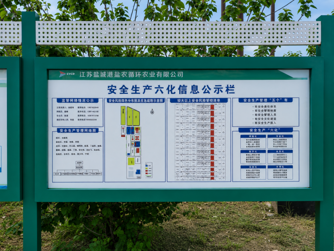 德信体育