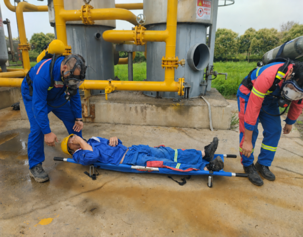 德信体育