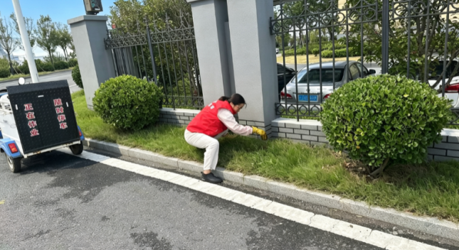 德信体育