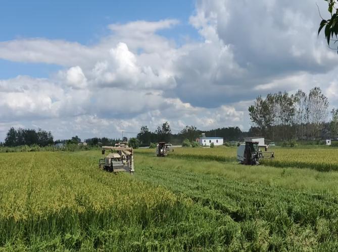 德信体育