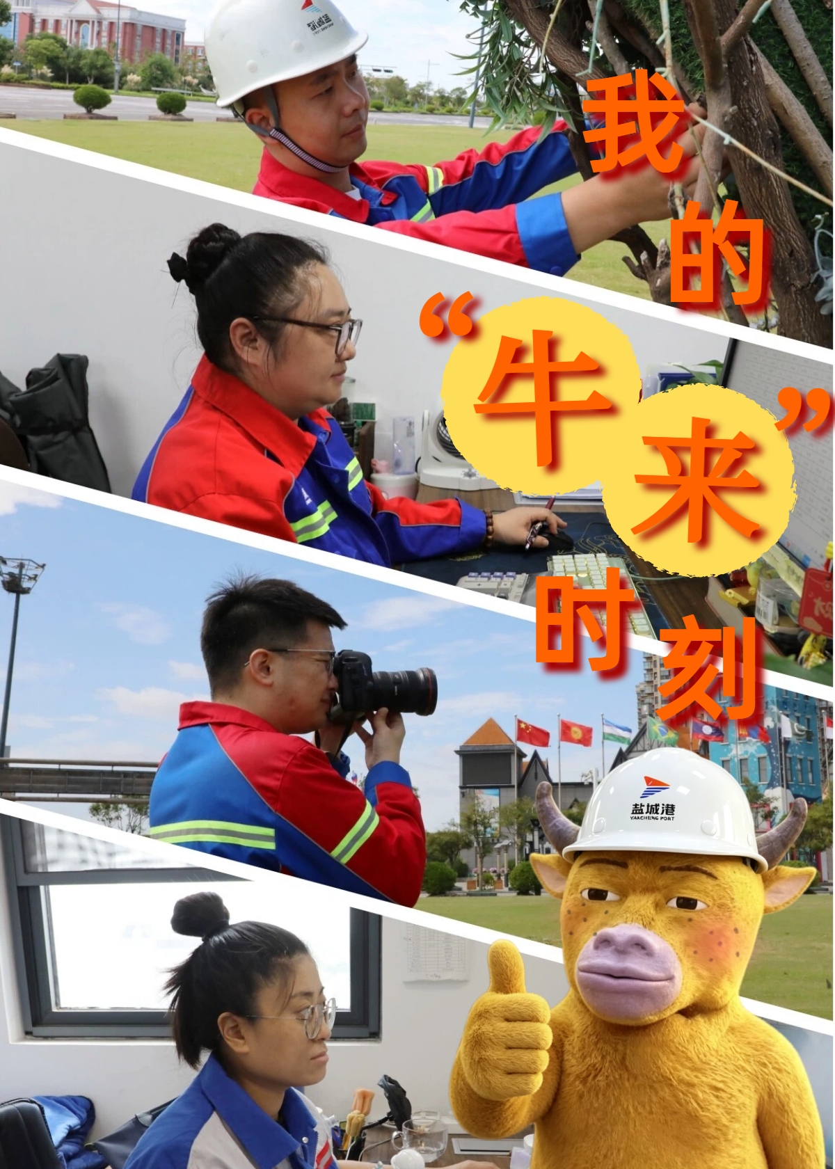 德信体育