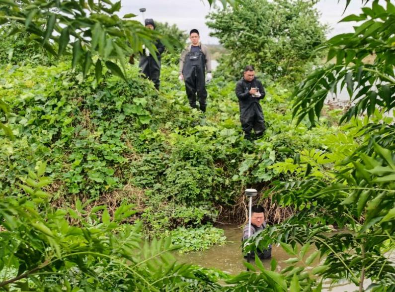 德信体育