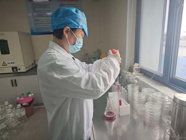 德信体育