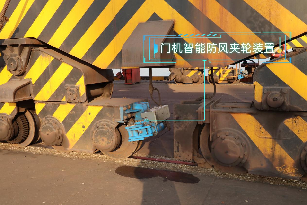 德信体育