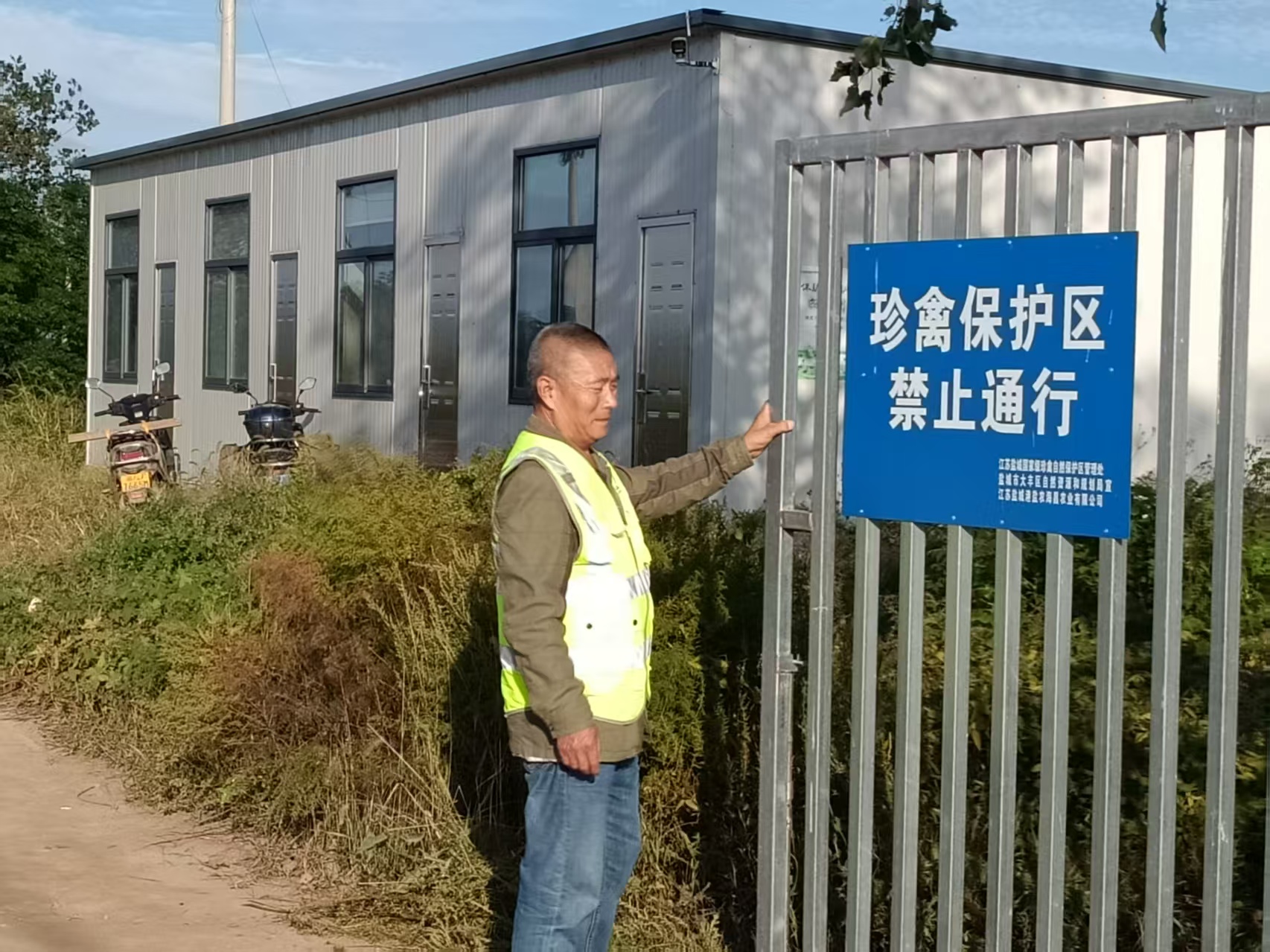 德信体育