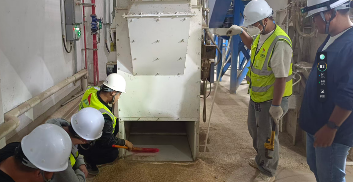 德信体育