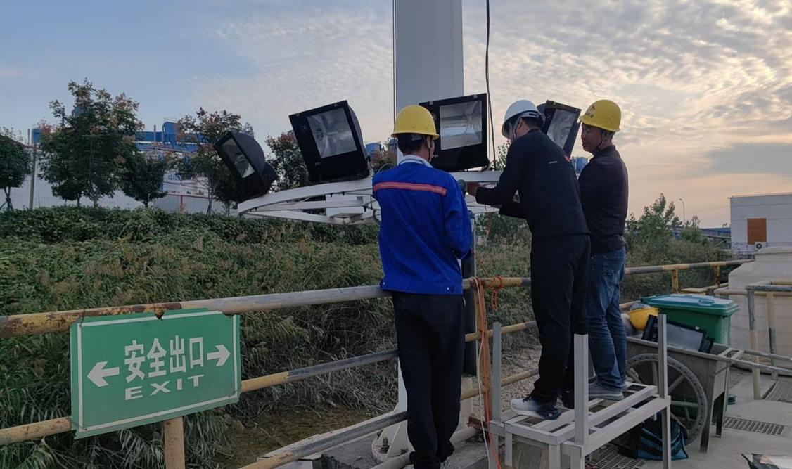德信体育