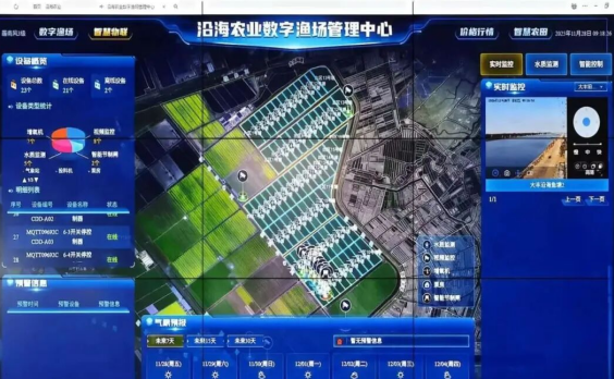 德信体育